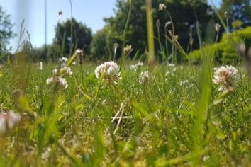 Terrains à bâtir