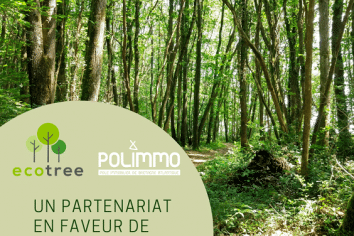 Partenariat Ecotree Polimmo