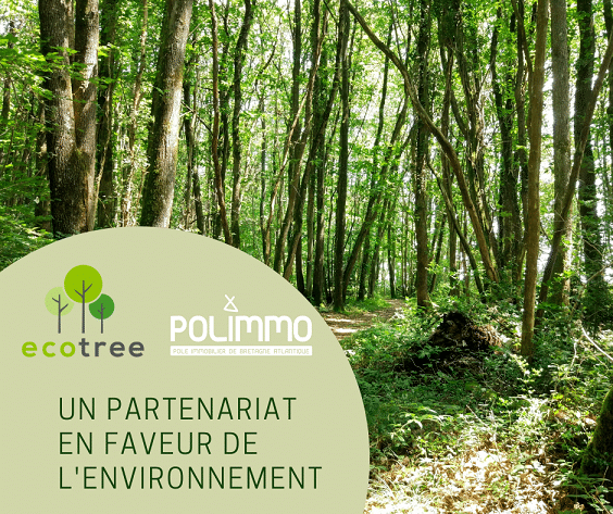 Partenariat Ecotree Polimmo