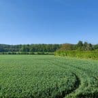 saint jean brevelay terrain