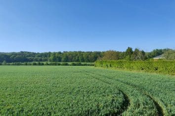saint jean brevelay terrain