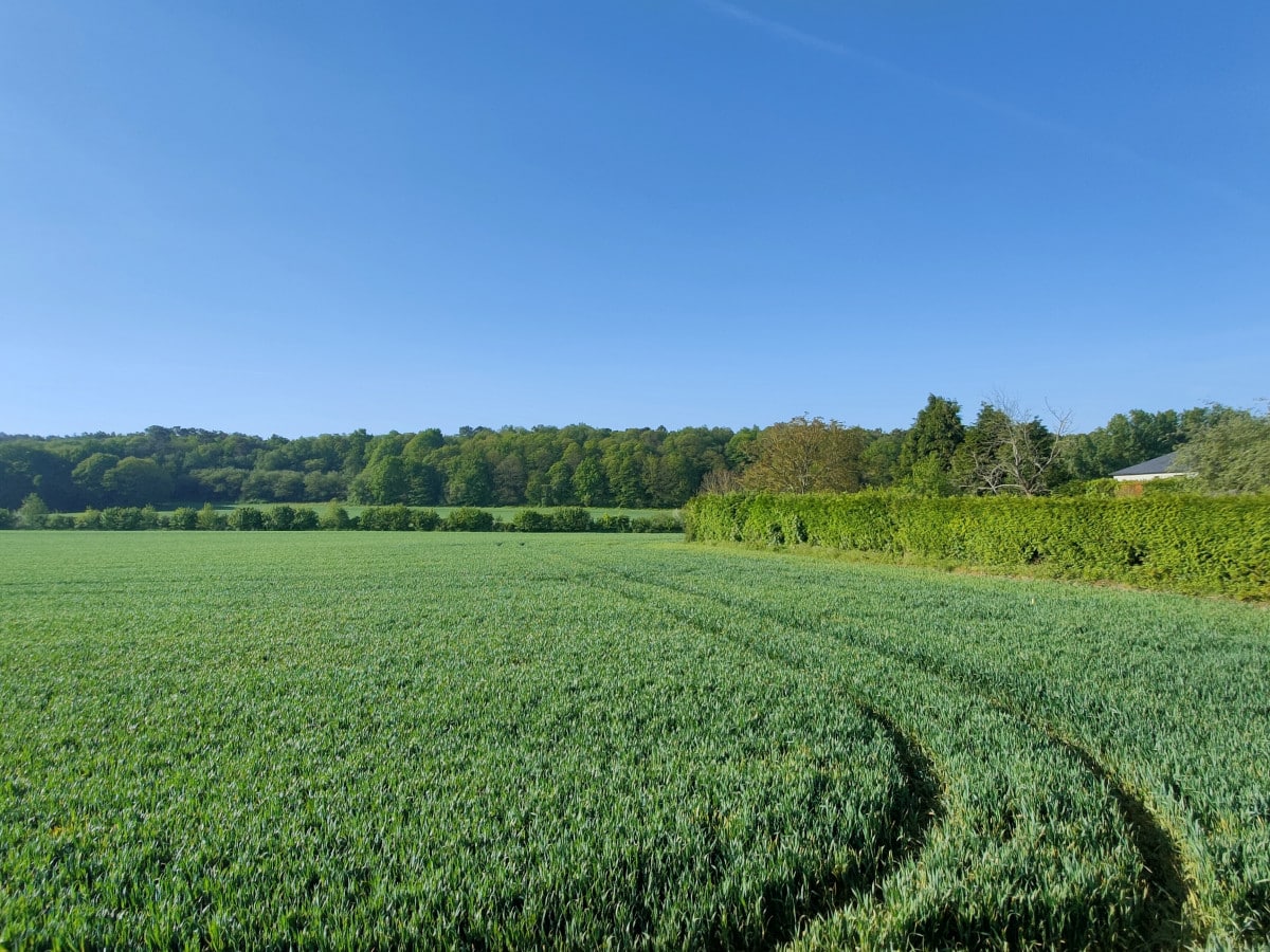 saint jean brevelay terrain