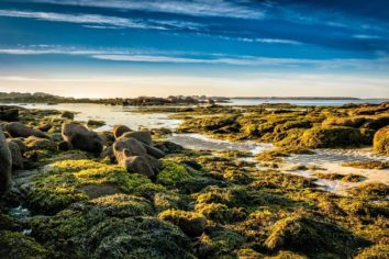 Vivre en bord de mer