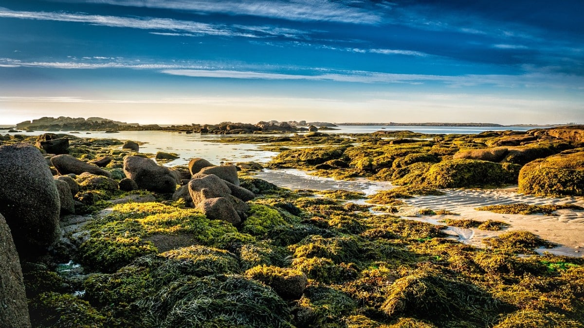 Vivre en bord de mer