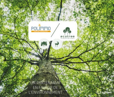 polimmo ecotree arbre